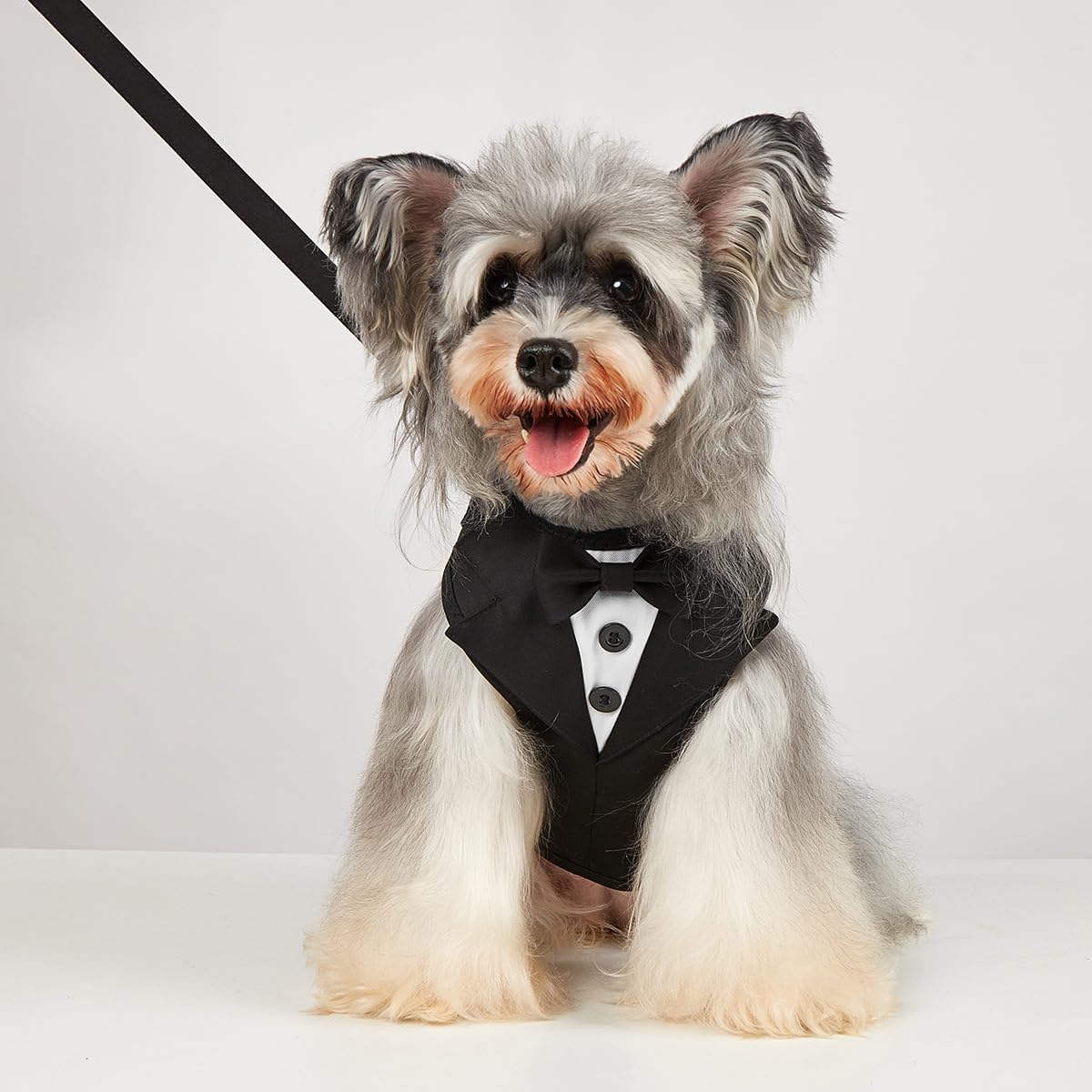 Arnés de esmoquin para perro, arnés ajustable para mascotas, sin tirones, para perros pequeños y medianos, traje de boda para perros con pajarita, disfraz de fiesta (negro, XXL)