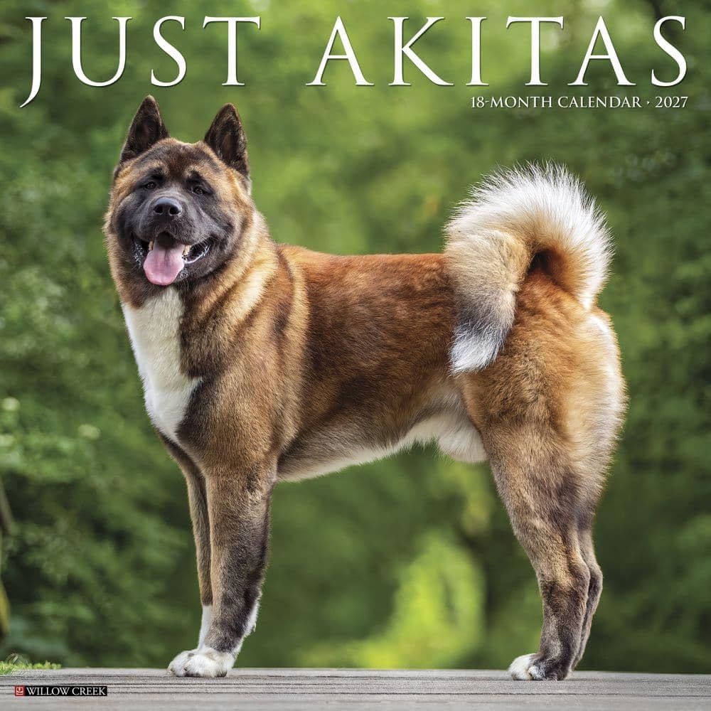 Willow Creek Press, Just Akitas 2027 Wall Calendar