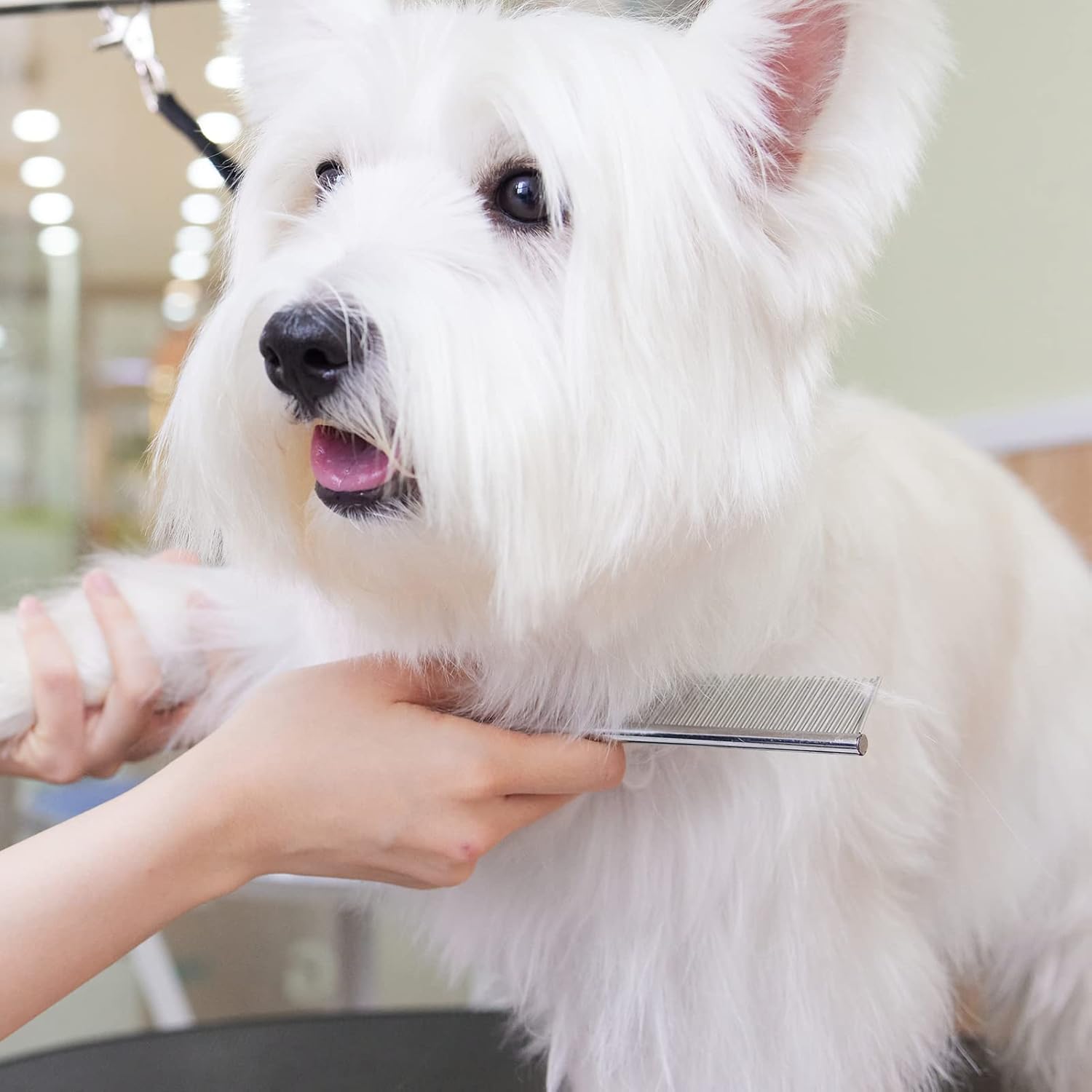 61BK rP34mL. AC SL1500