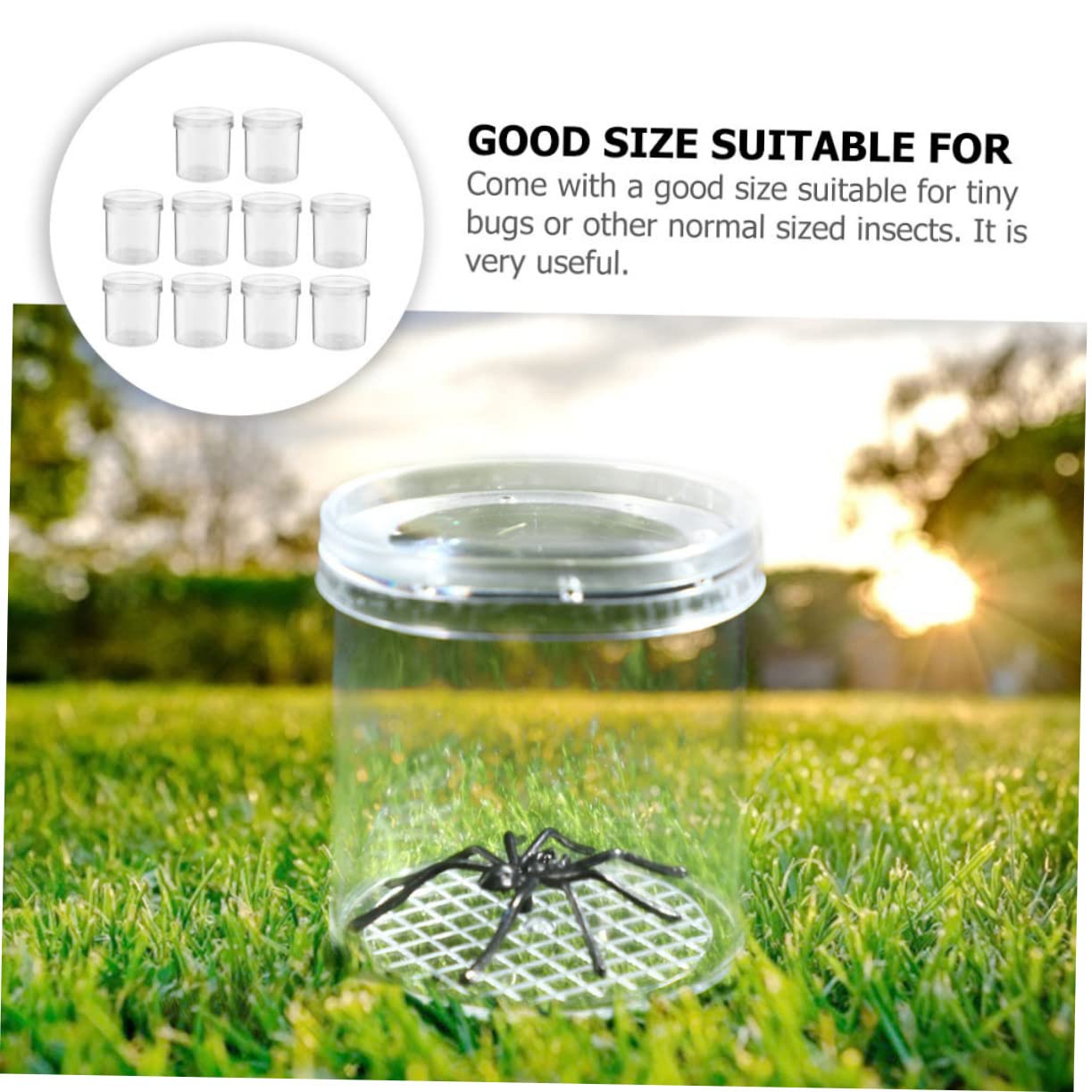 Caja de Aumento para Insectos de Plástico 15 Piezas Rejillas