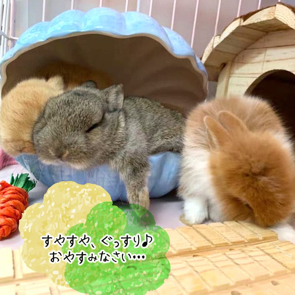 2個セット小動物用 陶器の貝がらハウス 陶器製 チンチラ ハリネズミ デグー Amazon | 小動物用 陶器の貝がらハウス 陶器製 丸洗い