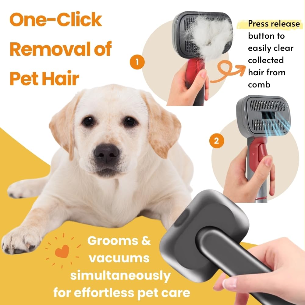 Pet Brushes