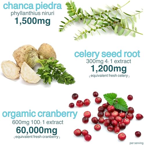 Miniatura 4 de Stone Breaker Chanca Piedra - Gomitas de 1,500 mg para limpiar la vesícula biliar  Plus extracto de arándano podría ayudar a eliminar las impurezas