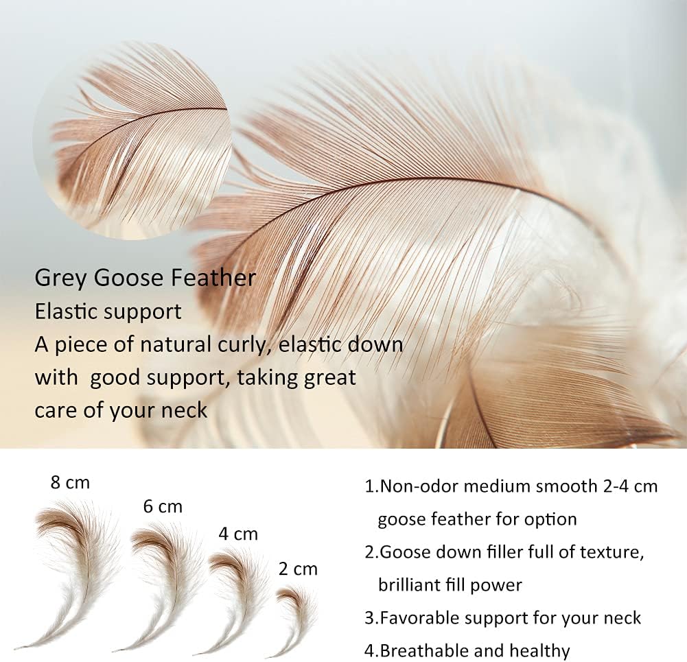 White Goose Feather with Polyester Bed Pillow - 600 Thread Count 100% Cotton,Polyester Filling Encircles Goose Feather, Medium Firm,Soft Support (Queen Size:Pack of 1)