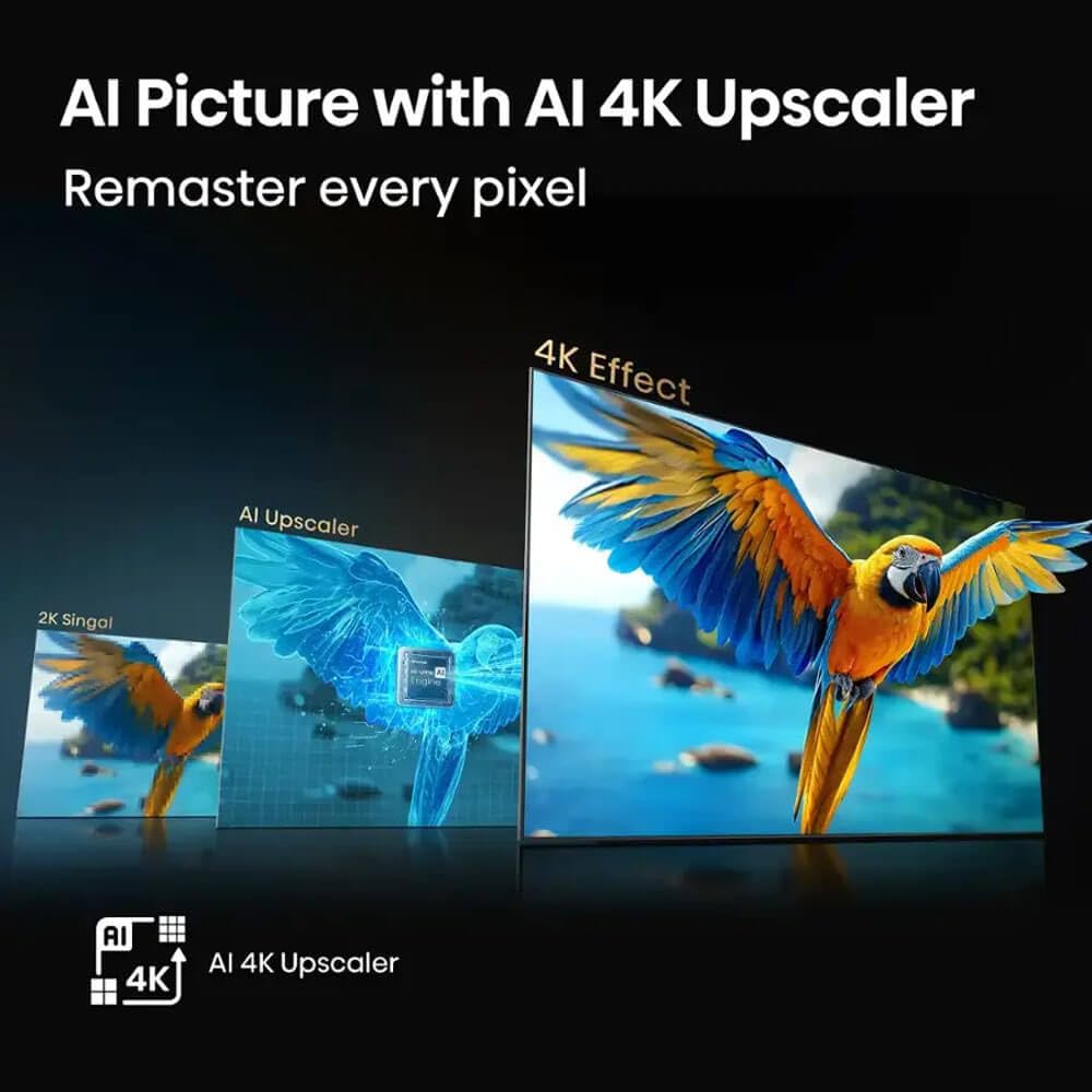 https://m.media-amazon.com/images/I/61BKHbRLbEL.jpg