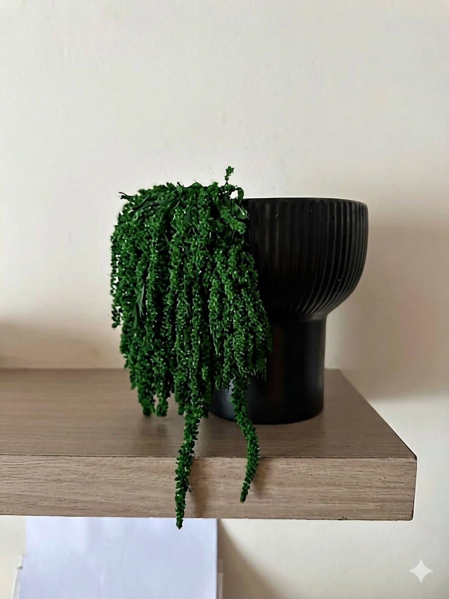 Versailles Preserved Green Amranthus | Vibrant Everlasting Dried Flowers Home Decor, Shower Hanging, Vase Arrangements, and Wedding Greenery - Long Lasting 3 Stems-image-45
