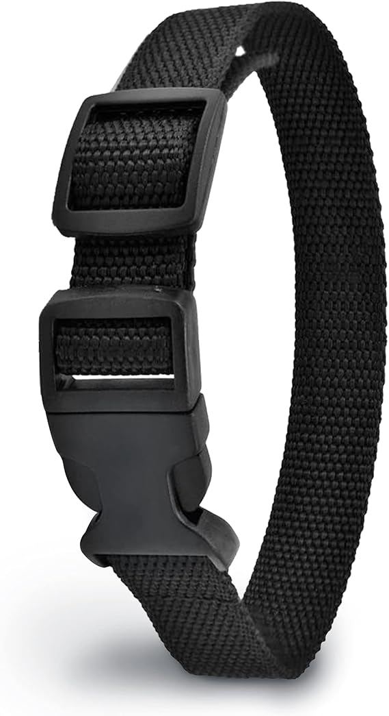 Dog care training collar replacement strap Clearance