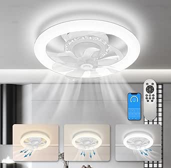 78cm Ventilateur De Plafond Avec Lumière Et Télécommande Grand Luminaire Ventilateur Plafond