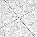 Armstrong Ceiling Tiles; 2x2 Ceiling Tiles - 16 pcs White; Acoustic Ceilings for Suspended Grid; CORTEGA 704