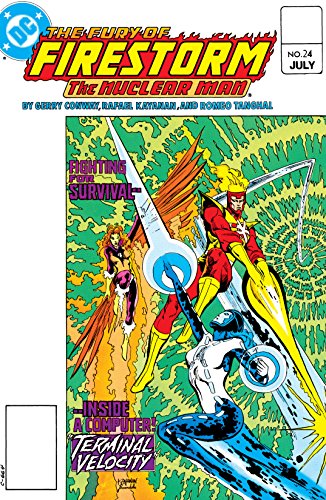Cover of The Fury of Firestorm (1982-1990) #24