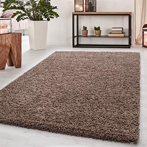 Abaseen Small Large Shaggy Rug Modern Rugs Living Room Extra Large Small Medium Rectangular Size Soft Touch Thick Pile Living Room Area Rugs Non Shedding (Mocha, 120x170 cm)