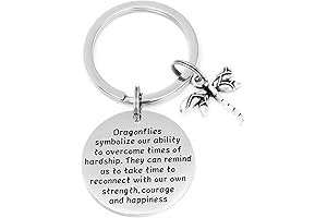 Dragonfly Keychains for Women: Empowering Symbol of Hope and Change