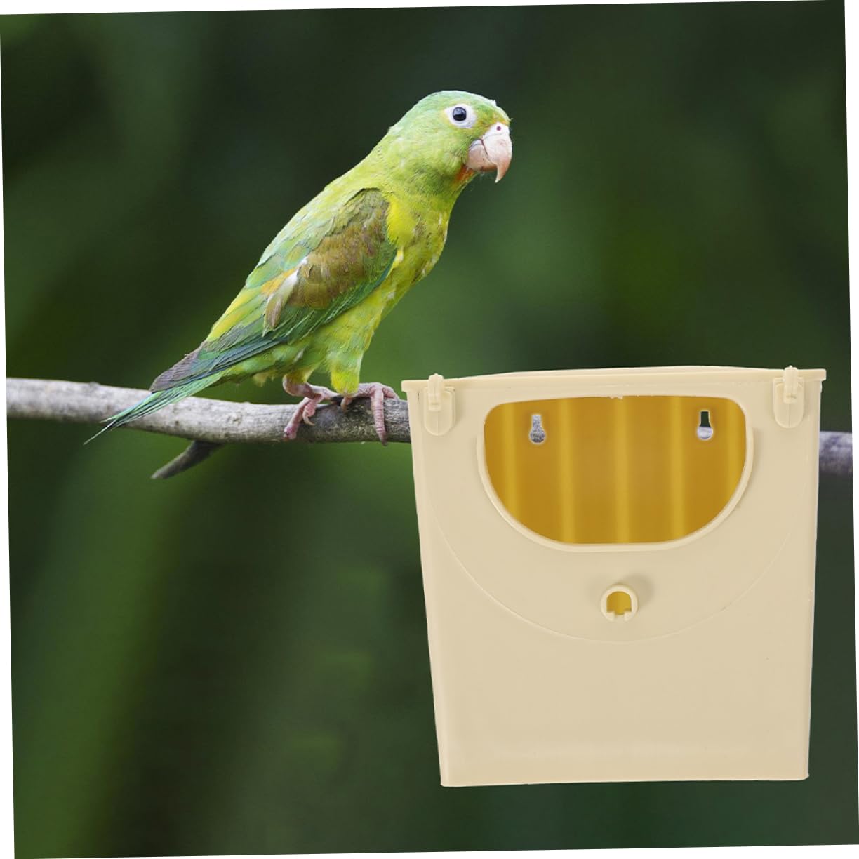 Levemolo 5 Stück Plastik Papageienbrutnest Kunststoff Nistkasten Vogelbrutkasten Nymphensittich Vogelhaus Für Garten Vogelzucht