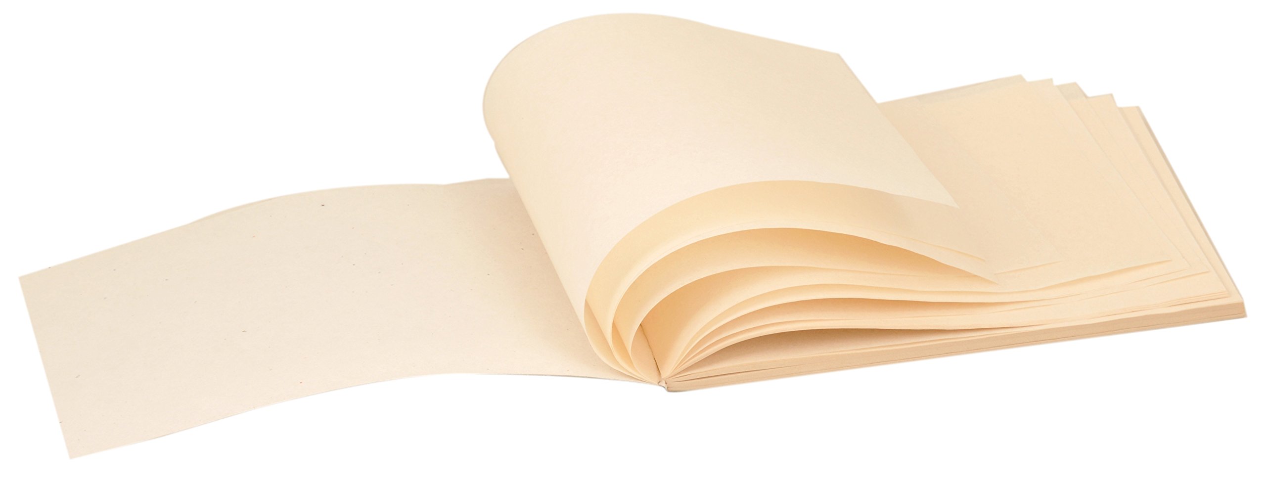 Parchment Paper for Osmosis Test, 50 Pack, Eisco Labs