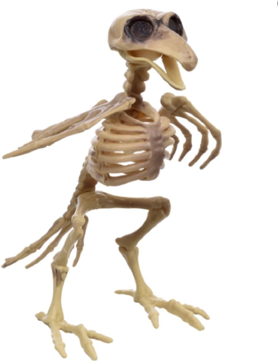 Bird Skeleton Halloween Decor Prop 7
