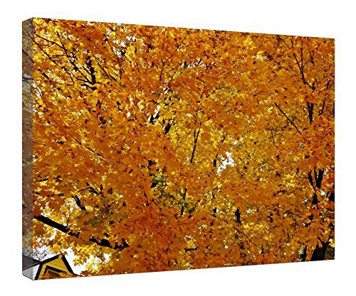 Toile tendue soleil doré d'automne tableau encadré bois 40x50