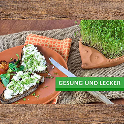 1 kg frische Kresse Samen - Gartenkresse - Microgreens für die Küche im Vorratspack - Image 5