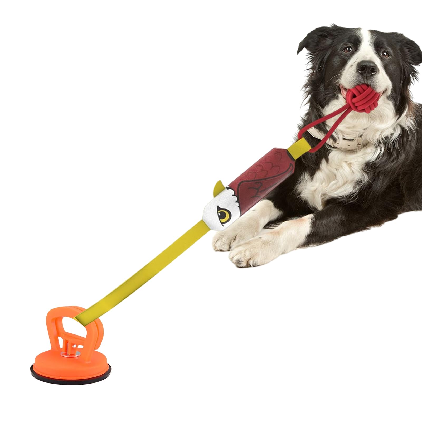 Stimulation mentale et nettoyage des dents via ce jouet interactif pour chien