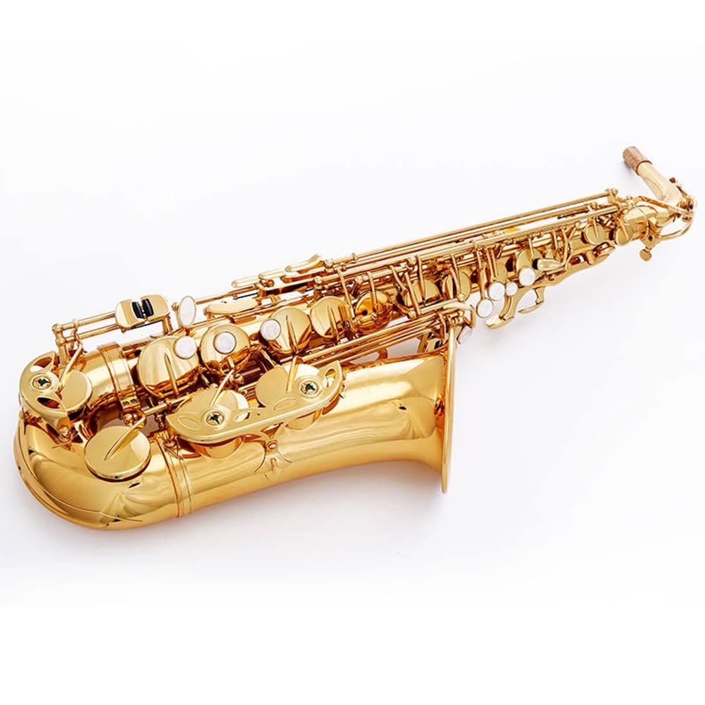 Sassofono Contralto, Ottone Laccato Oro Mi bemolle Sax per Principianti Sax Kit Completo con Custodia per Il Trasporto Guanti Panno per la Pulizia Spazzola Cinghie per Sax Ance