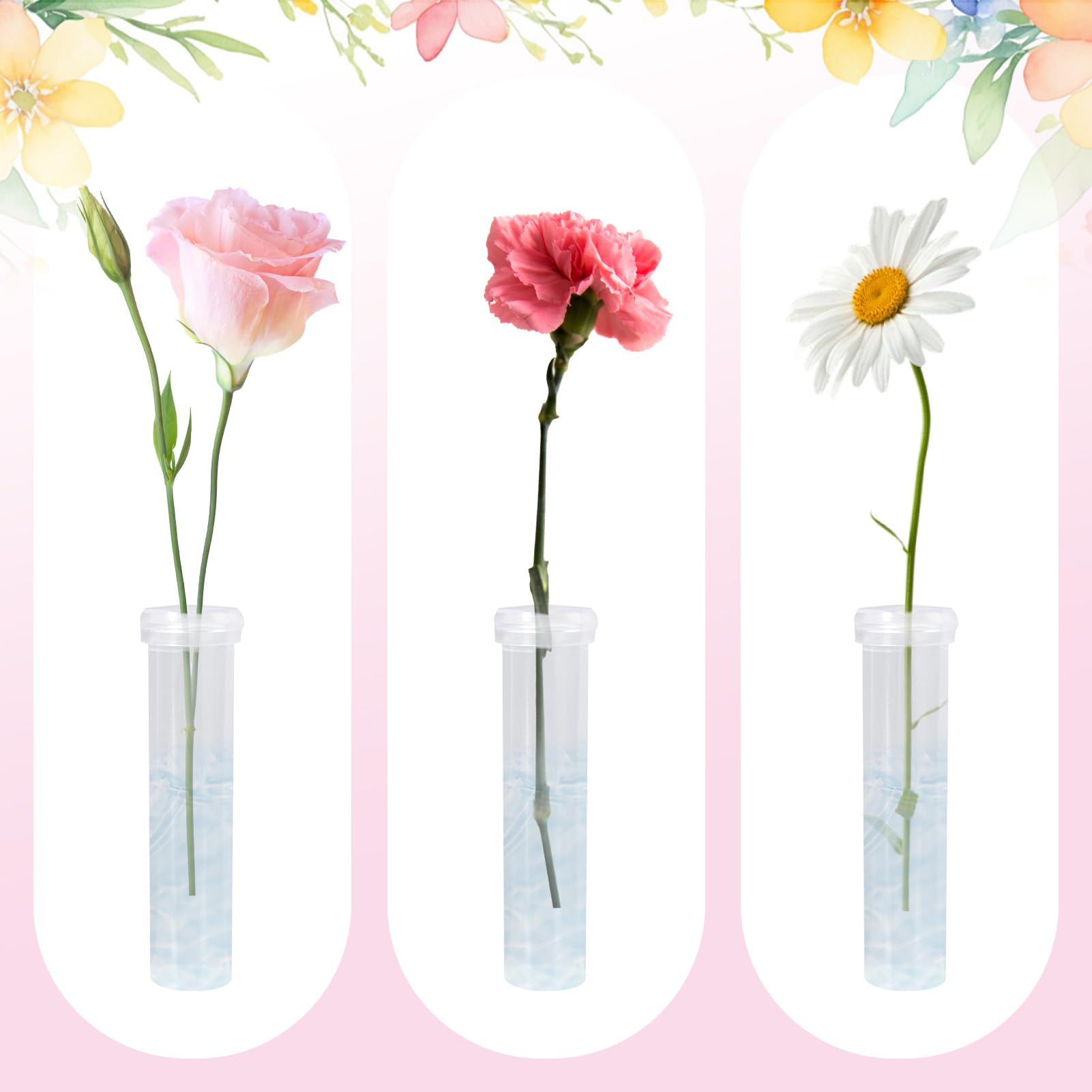 Lot De 33 Tubes à Essai En Plastique Pour Fleurs - Réutilisables, Bouchon Caoutchouc étanche, Transparents | Pour Arrangements Floraux, Décoration, Maintien Fraîcheur