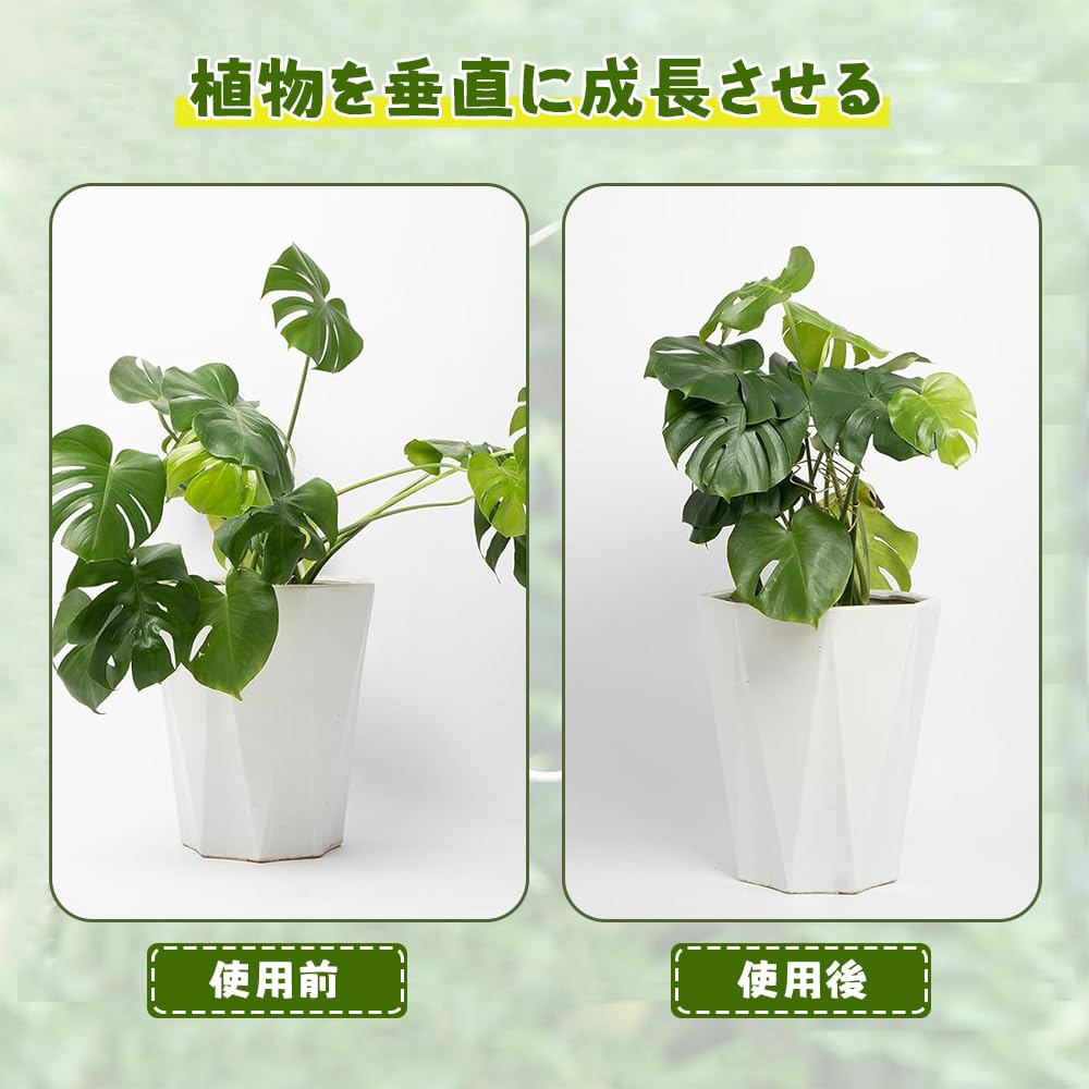 Amazon | UrbanPulse 園芸支柱 植物サポート モンステラ支柱 花支架