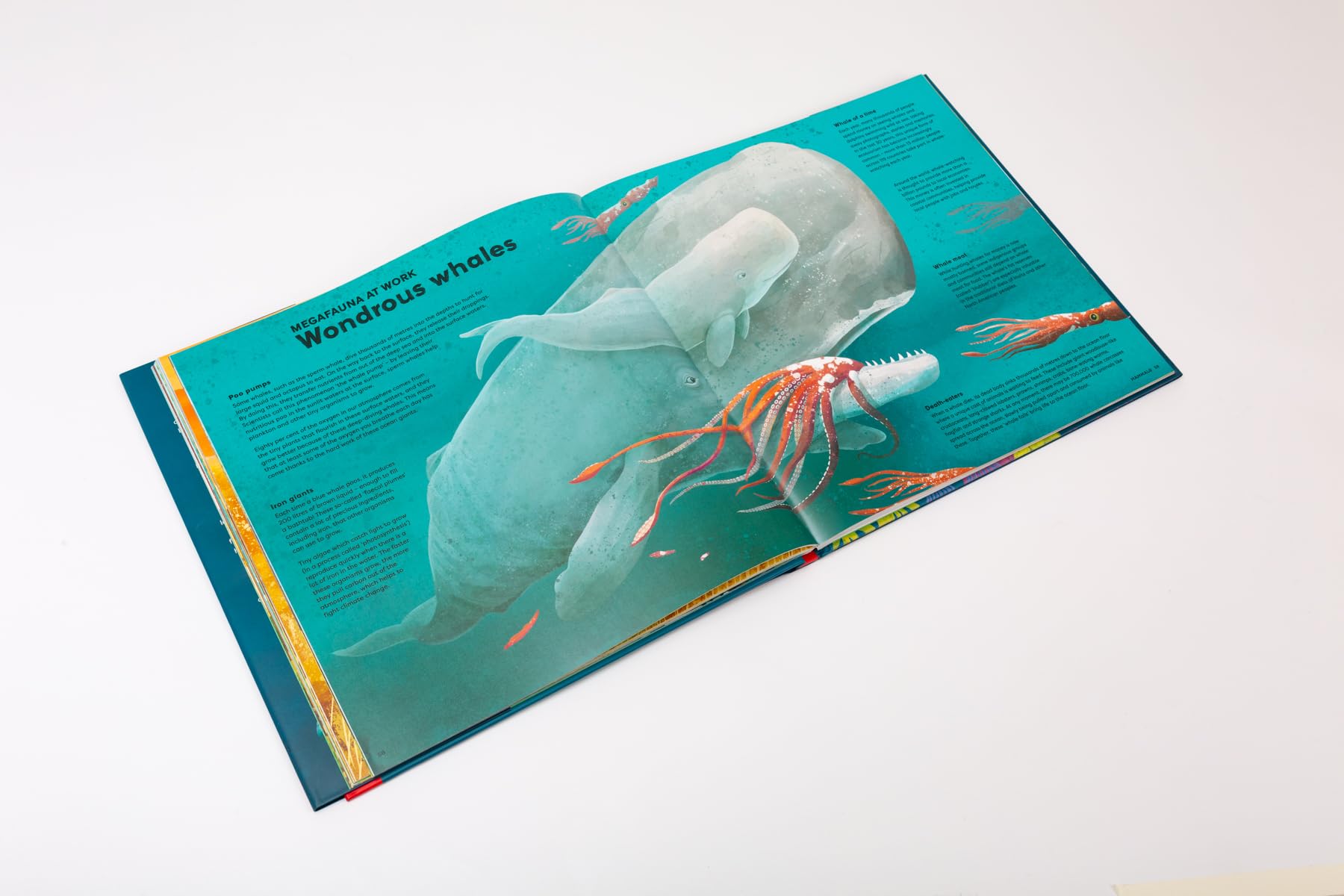 MEGA: The Most Enormous Animals Ever