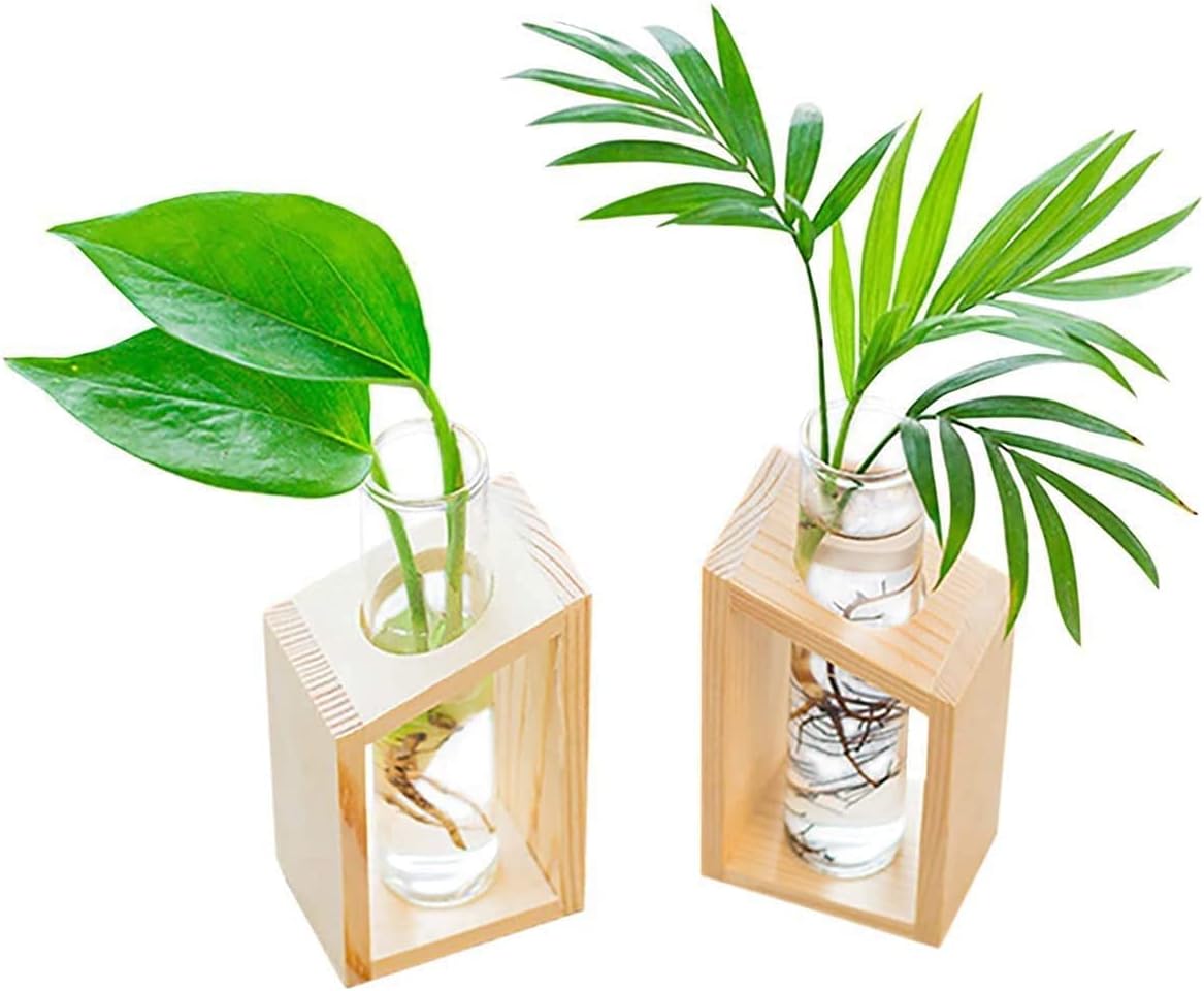 2 Pieces Hydroponic Plants Test Tube, Test Tube Vase, Wooden frame hydroponic vase - Image 3