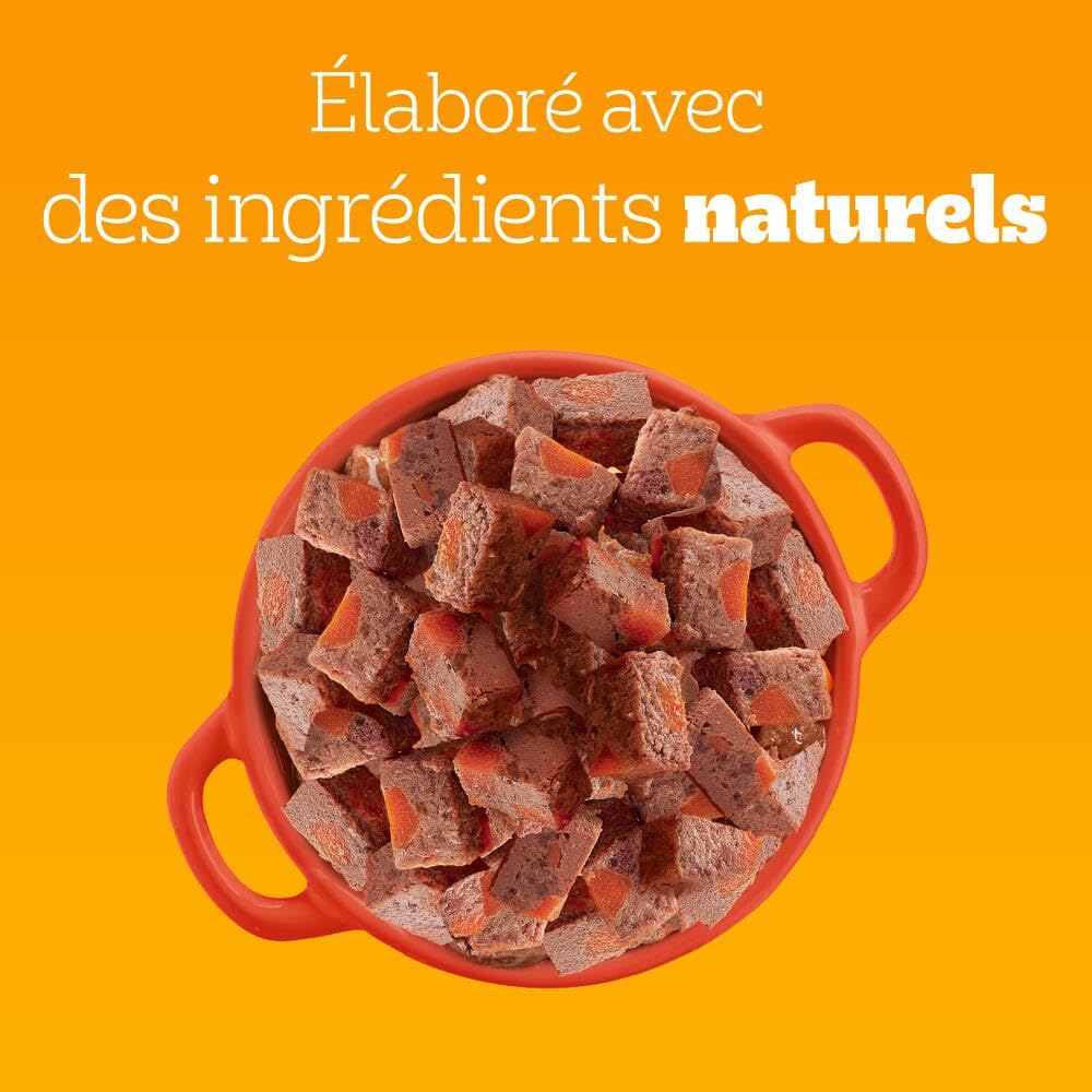 PEDIGREE Repas pour Chien - Boîtes en terrine au Boeuf et aux Carottes Adulte 6x4x400g