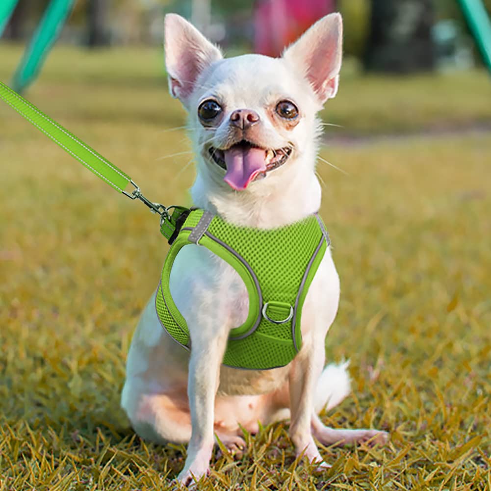 Joytale Step in Dog Harness,Soft Mesh Reflective Breathable Vest Harnesses,Easy Walk Harness with Safety Buckle for Puppies and Extra Small Dogs,XS,Green - Image 2