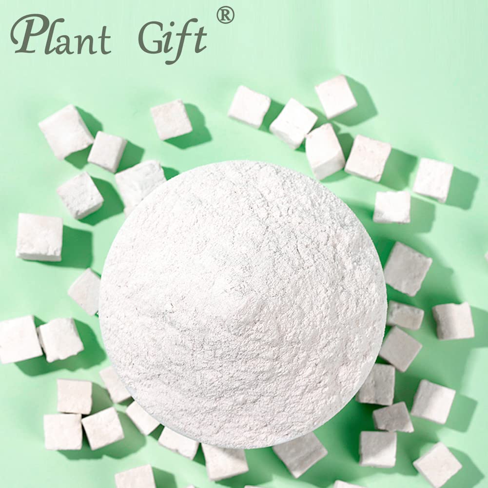Plant Gift 100% Pure Poria Cocos Powder 茯苓粉 Farina naturale di cacao di poria, ottimo sapore per bevande, aggiunge sapore e sapore in polvere non OGM, senza riempitore, senza additivi 100G/3.25oz