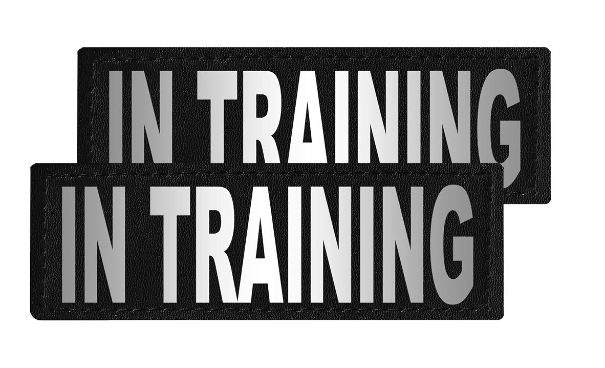 Dogline Removable Patches "In Training" Tags, X-Small