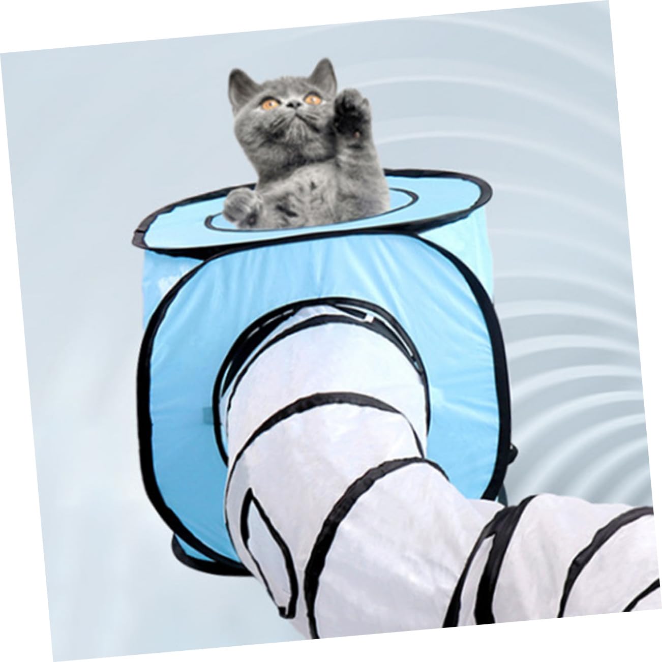 Supvox Katzentunnel in S-Form Faltbar Interaktives Spielzeug Für Katzen Und Kätzchen Blau Verarbeitet Langlebig Und Praktisch