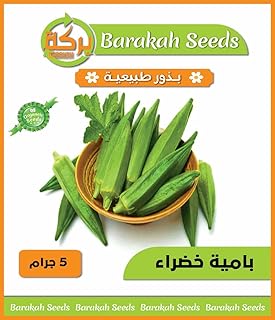 High Germination Vegetable Seeds (Green Okra, Organic, 1)