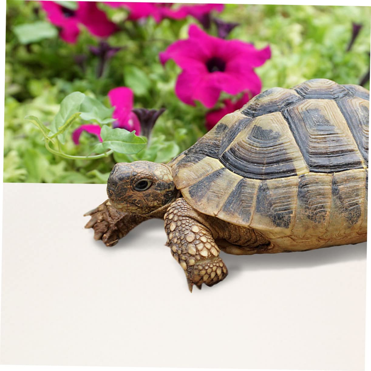 BELLIFFY Reptile Enclosure Mat Snake Cage Liner Reptile Carpet for Snake Leopard Gecko Bedding Non-Slip Eva Material