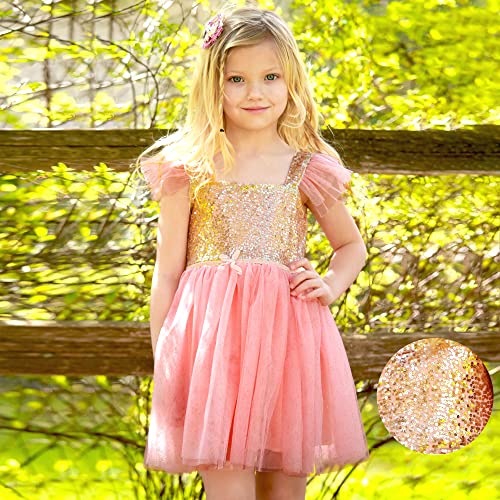 Butterfly Craze Birthday Sequin Dress with Glitter and Sparkle for Little Girls, Fluttering Into The Princess Ballerina Party, Perfect for Dress-up Parties, & Other Occasions, Pink/Gold, 3 Years