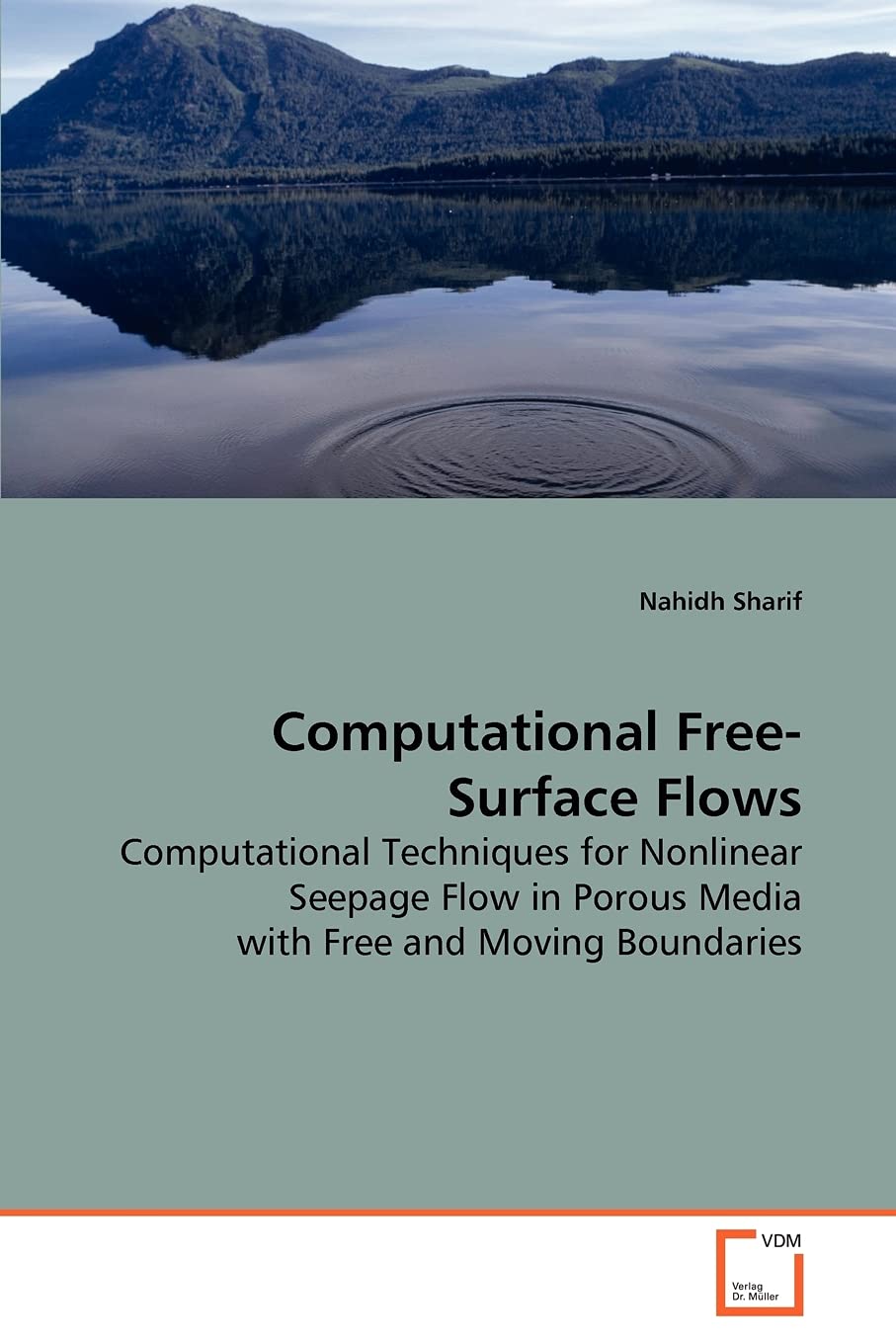 Computational Free-Surface Flows