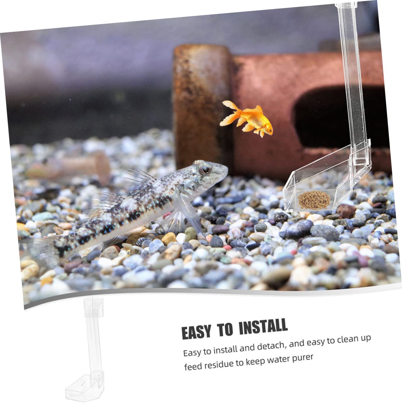 BESPORTBLE 3piezas Alimentador Acuario De Acrílico para Camarones Comedero Sinking para Peces Diseño Conveniente y Duradero para Acuarios y Peceras Fácil Instalación Ventosas Sin