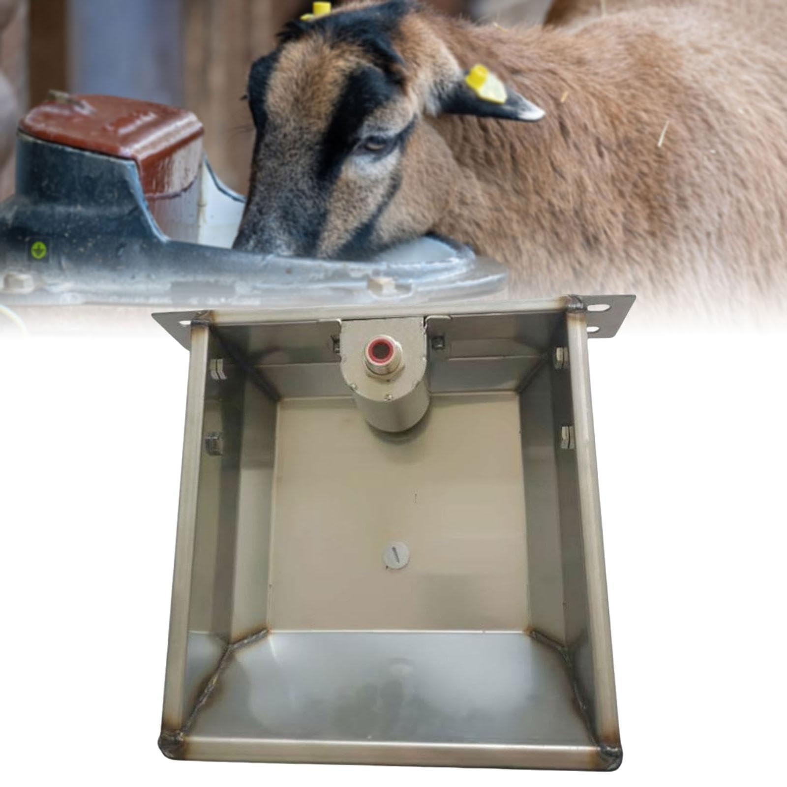 Bebedero Automático en Acero Inoxidable, Dispensador de Agua para Caballos, Perros y Ganado con Gran Capacidad, L 31cmx26cmx9.5cm