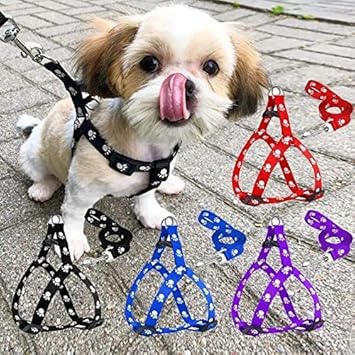 RvPaws 15 mm Paw Print Leash and Harness Set for Small & Medium Puppy | Dog Harness and Leash (Color May Vary 1 Pcs Harness + Leash Set)