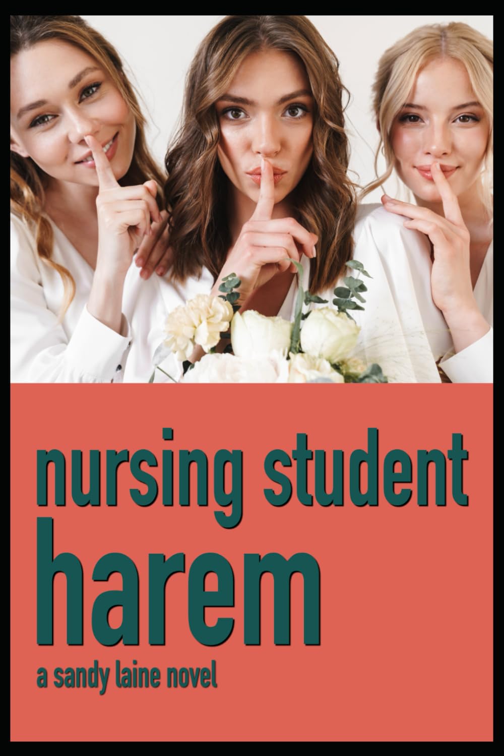 Nursing Student Harem: An MFFF adventure (Harem Dreams)