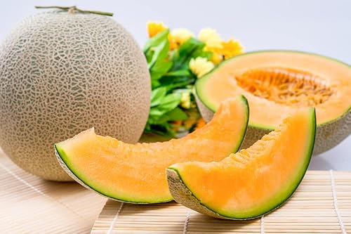 Miniatura 3 de Semillas Cantaloupe Charente F1 Frutas raras de melón dulce sin OMG para plantar
