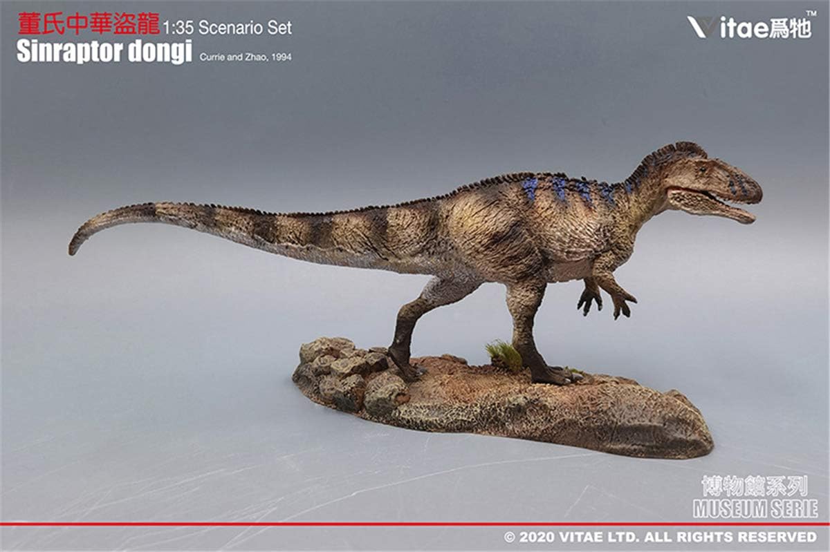 Lana Toys Vitae 135 Sinraptor dongi Statue Realistic Theropoda Sinraptoridae Dinosaur PVC Collector Toys Animal Educational Model Decoration Gift for Adult