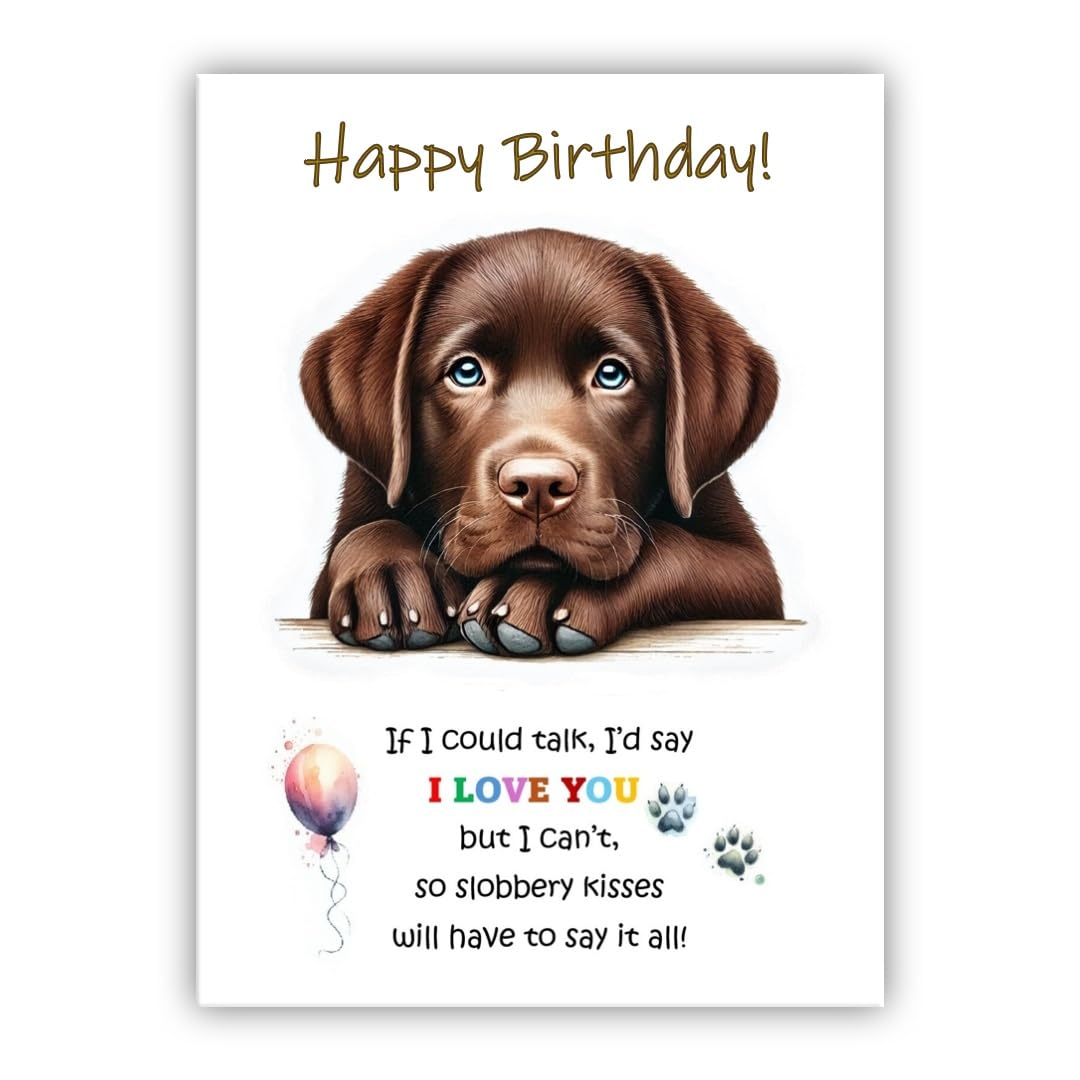 Dog Lovers Birthday Card. Chocolate Labrador Birthday Card from the dog to the owner, Mum, Dad, Mummy, Daddy, Mother, Father.(Chocolate Labrador)