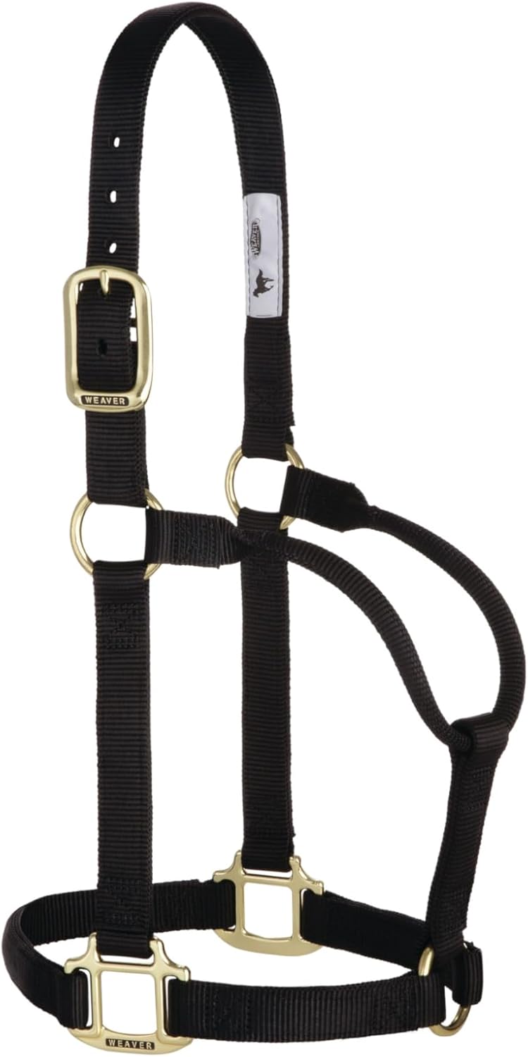 Weaver Equine Nylon Horse Halter, Triple-Ply Cheek Design, Original Non Adjustable Halters for Horses, Equine Tack
