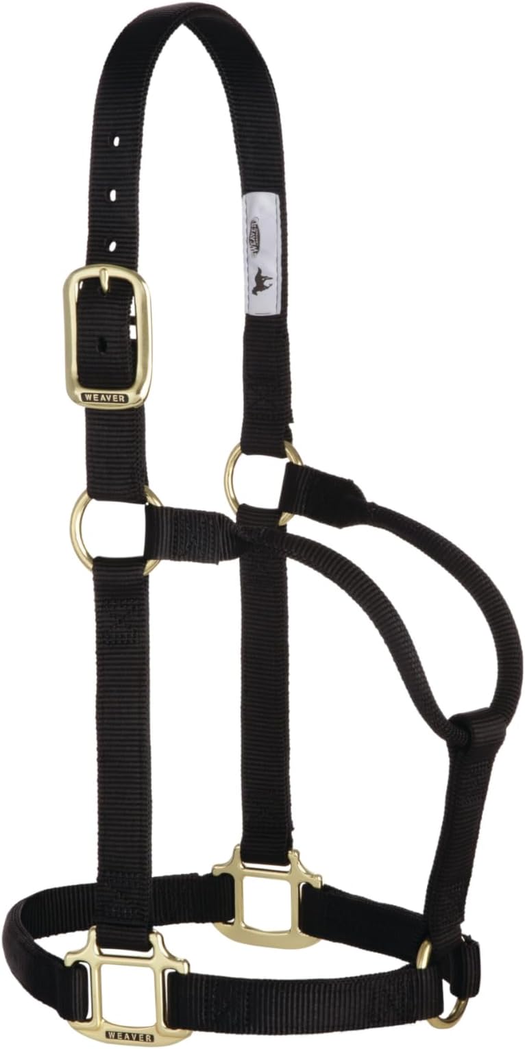 Weaver Leather Original Non Adjustable Halter (Black, Avarage Horse/Yearling Draft)