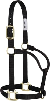 Weaver Leather Original Non-Adjustable Nylon Horse Halter, Small, Black