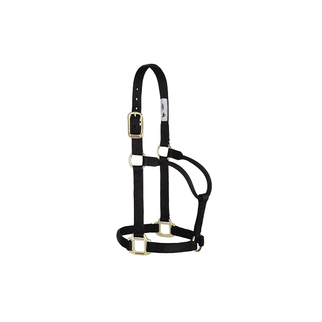 Weaver Leather Original - Cabestro no Ajustable, 35-7005-BK, Negro, Average Horse