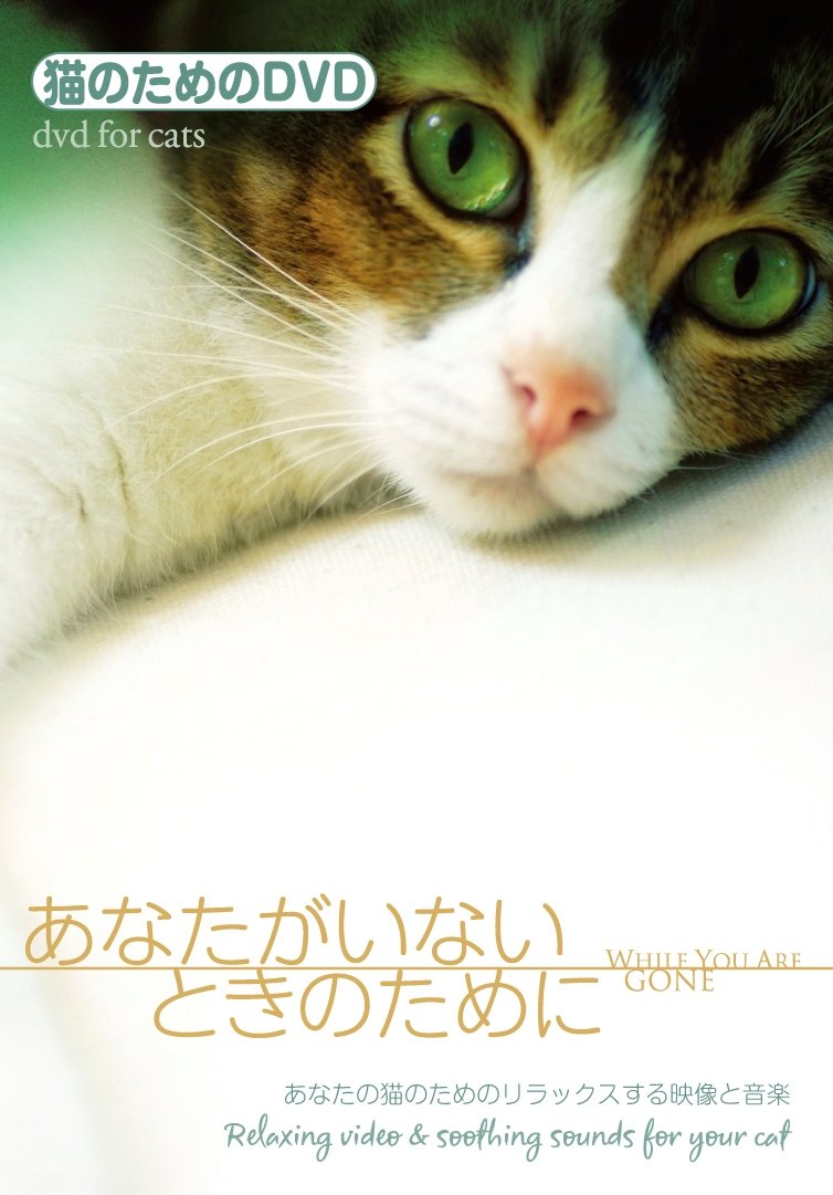 Amazon.co.jp: ネコのためのDVD/あなたがいないときのために あなたの