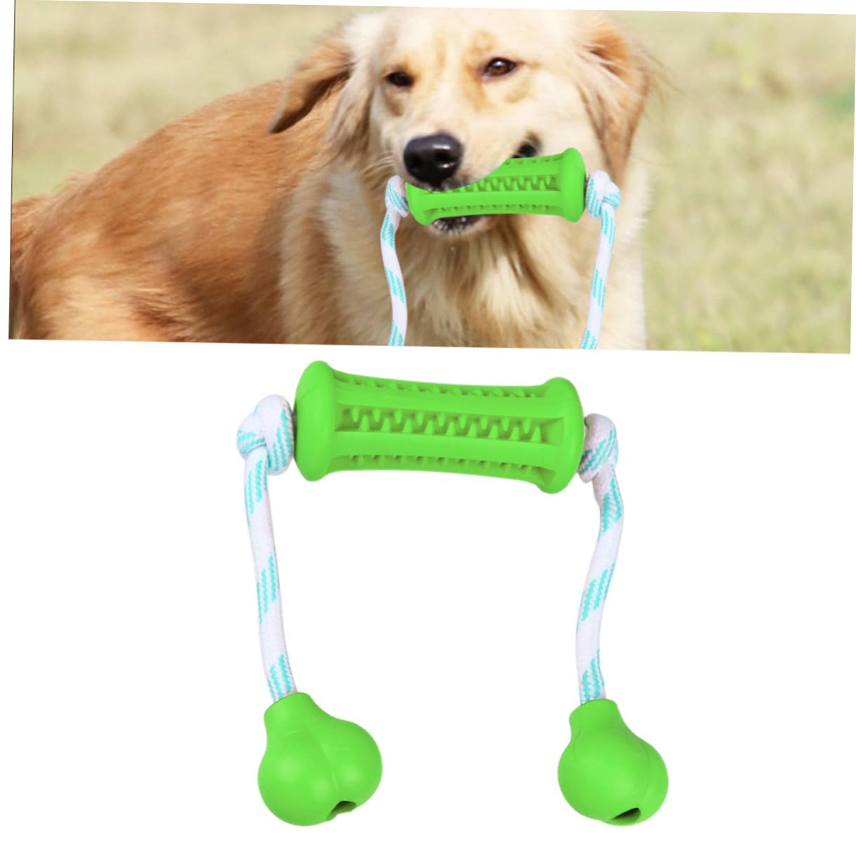 Kisangel 3piezas Juguete para De Cuidado Cepillo De Dientes para Juguete Masticable para Entrenamiento y Limpieza De Dientes Verde