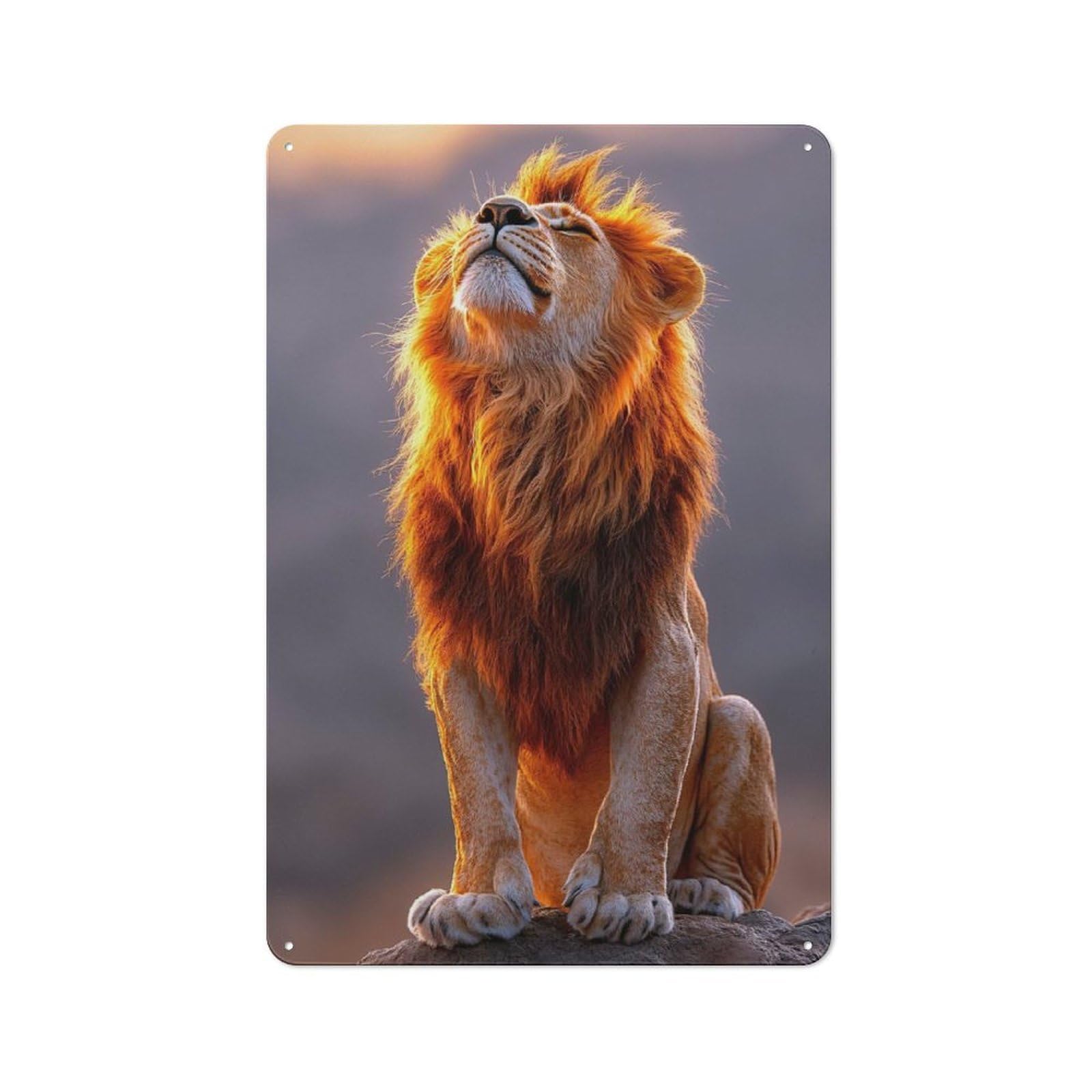Majestic Lion Basking in Golden Light Cottage Style Metal Wall Decor 30x20cm, Tin Wall Plaque for Kitchen, Cottage, Porch Or Garden Room